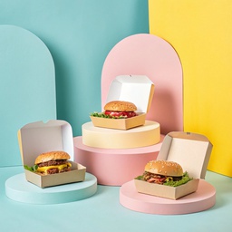 Burger Boxes (Clamshell Style) Printing &amp; Packaging