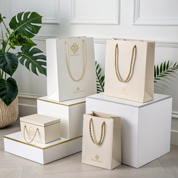 Luxury Paper Bag with Rope Handle Printing &amp; Packaging