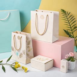 Eco-Friendly Paper Bag with Rope Handle or Die-Cut Handles Printing &amp; Packaging